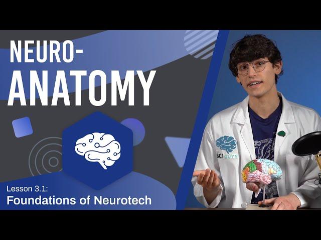 Structure and Organization of the Brain (Neuroanatomy) - Lesson 3.1