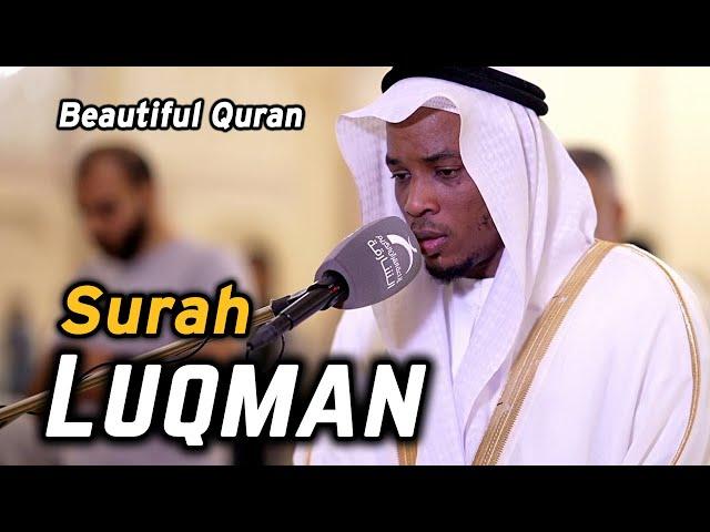 Surah Luqman (سورة لقمان) | Voice from Heart Beautiful Quran Recitation by Sheikh Ahmed Mokhtar