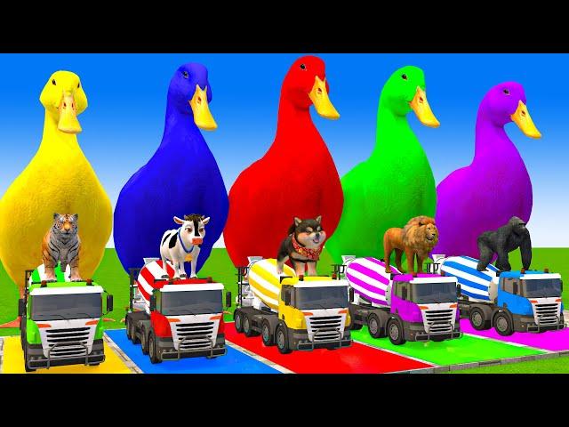 5 Giant Duck Cartoon,Cow,Mammoth,Dog,T-Rex,Lion,Tiger Paint Wild Animals Crossing Fountain Animation