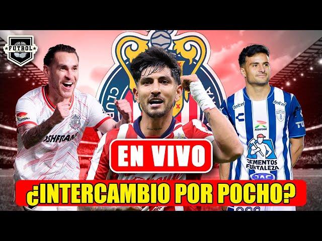  ÚLTIMOS RUMORES CHIVAS | ¡POCHO MONEDA DE CAMBIO! | ¡AMAURY REACCIONA! | ¡OPERAN A MOZO!