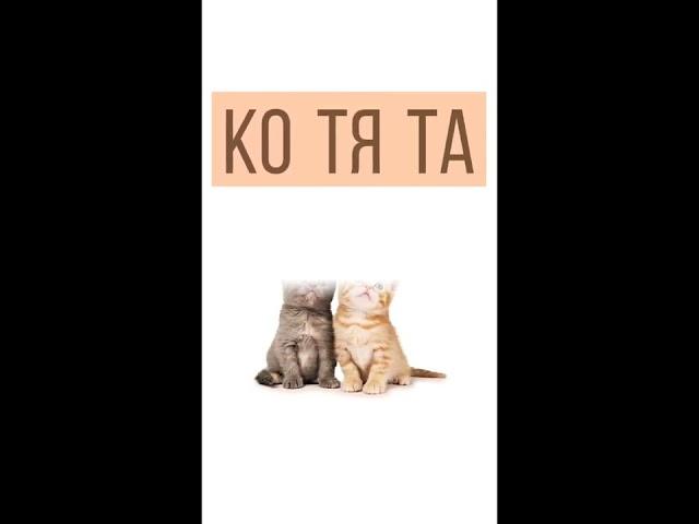 Кошка Кот и Котята!  Как легко научить читать ребенка. Развитие речи.|Обучалки Буква+|#shorts