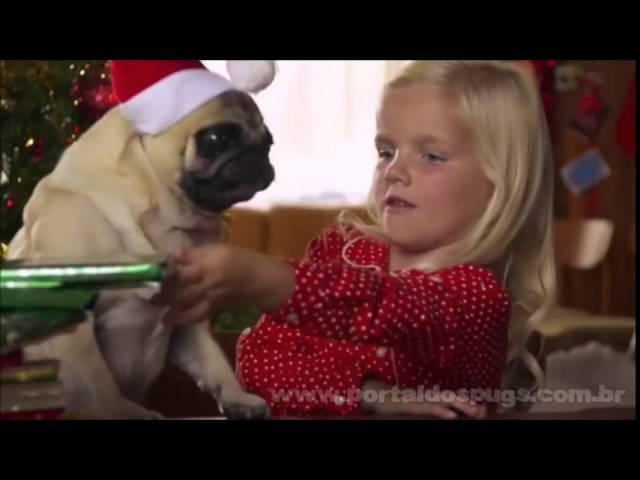 Michael Bublé - "CD Christmas" - Comercial de TV - Propaganda com Pug