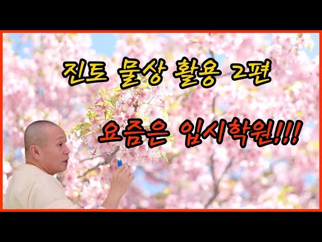 진토 물상활용 2편 요즘은 입시학원!!!