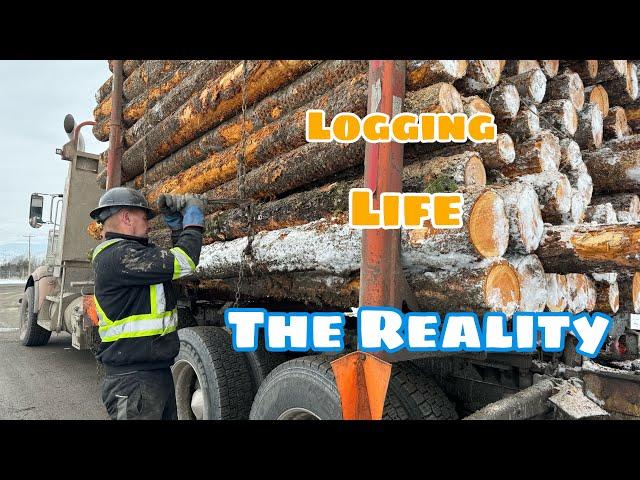 Realistic Day In The Life Of A 54 Year Old Log Truck Driver Stuck In The Snowy Mountains