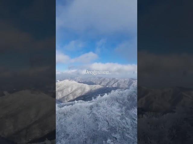 덕유산 향적봉 눈꽃산행 #shorts #등산 #눈꽃 ️