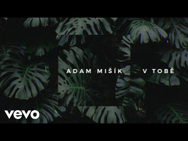 Adam Mišík - V Tobě (Official Lyric Video)