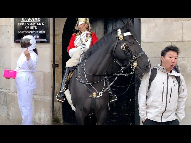 WATCH Horse's reaction upon seeing the LADY IN ASTRONAUT Costume.