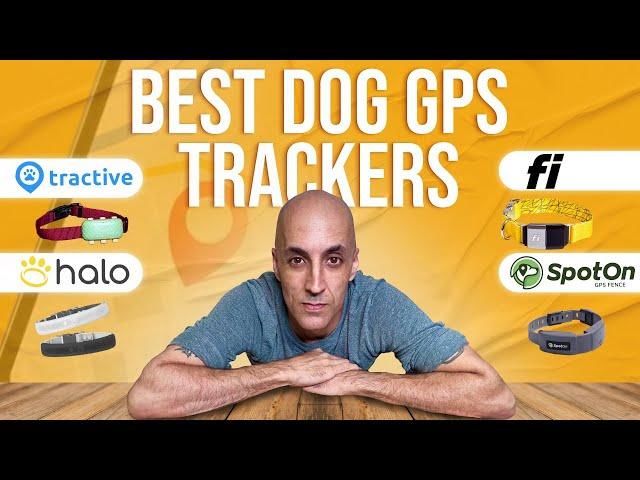 Best Dog GPS Tracker in 2024 [I Tested All of Them]