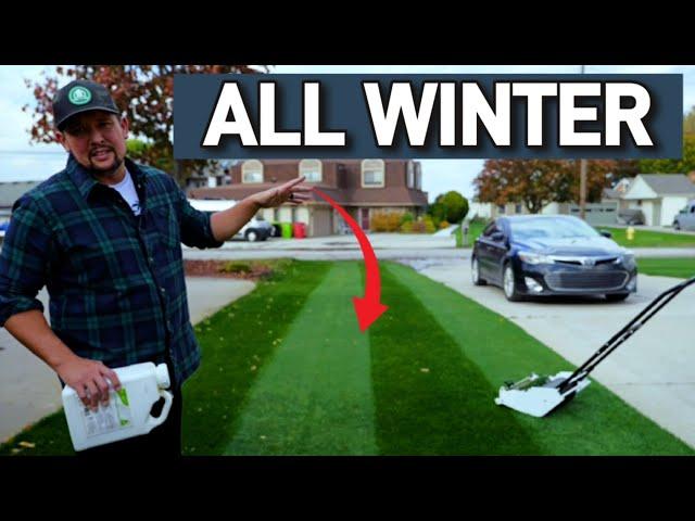 Secrets to a Lush Lawn All Winter Season Long ️ Feed Your Lawn This to have a Successful Spring