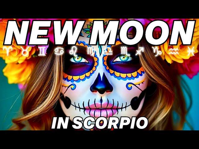 New Moon in Scorpio 2024 | All 12 Signs