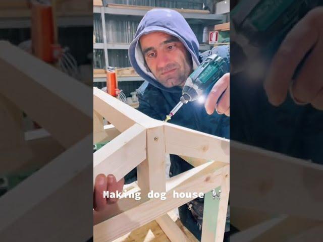 Making Dog House | Woodworking #shorts #woodtok #woodworking