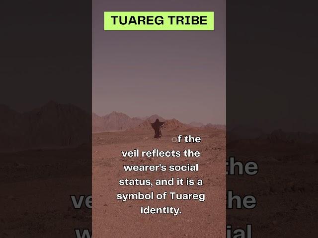 Caravans of the Sahara: The Nomadic Life of the Tuareg #shorts #SaharaHeritage #BluePeople