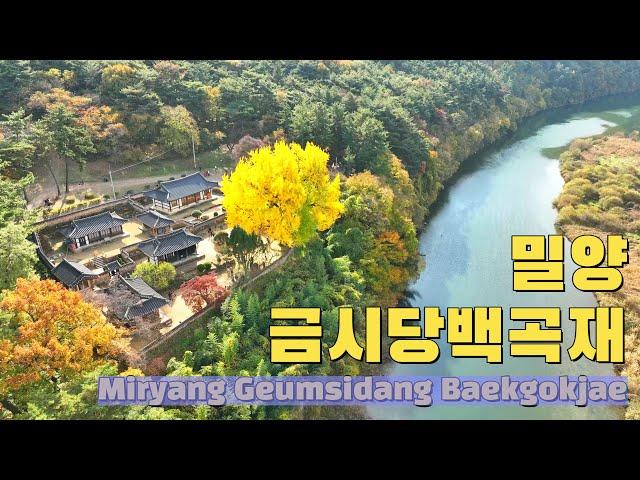 밀양 금시당백곡재 드론영상 Miryang Geumsidang Baekgokjae drone video