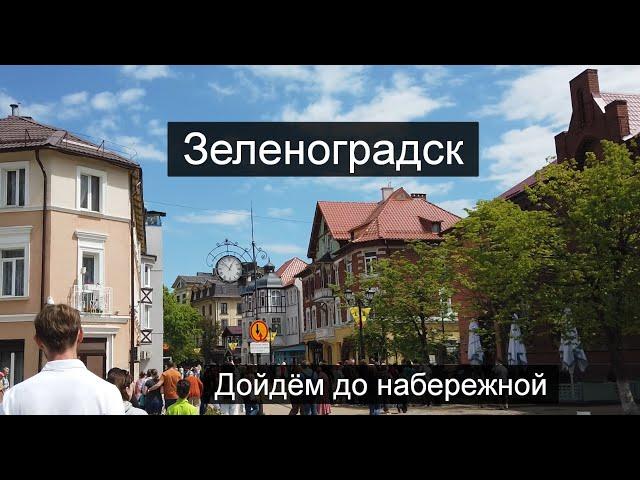 Зеленоградск-прогулка по городу кошек// Променад Зеленоградска