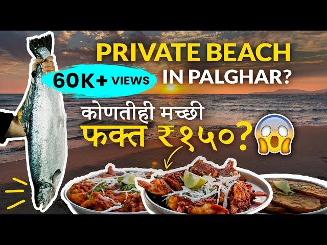 फिश फ्राय फक्त १५० रुपयात? | Private Beach In Palghar | Hidden Gem | Fresh Sea Food | Prawns Fry |