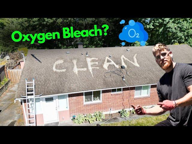 Why people are starting to use Oxygen bleach on roofs