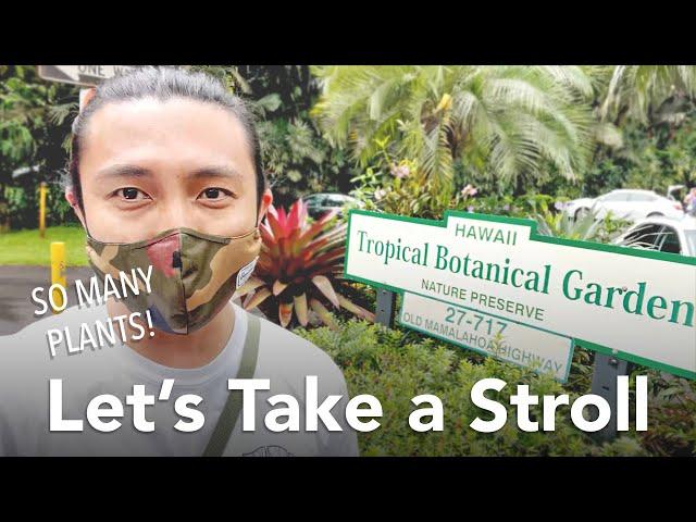 Hawaii Tropical Botanical Garden Tour | Spring 2021