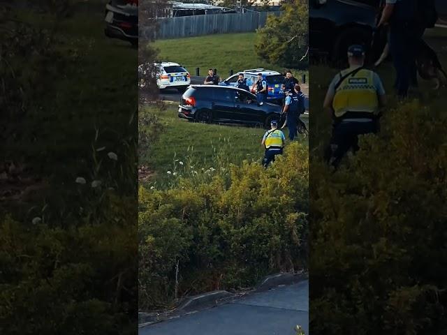 Head Hunters MC associate arrested after mad chase in Auckland #gridsparta #bikies