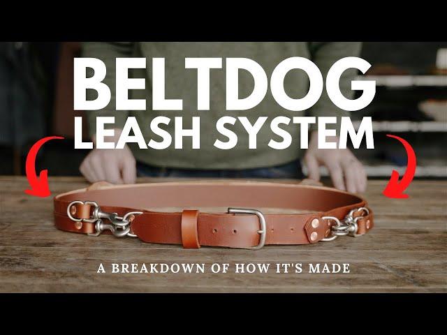 Beltdog Leash System Overview - Best Leather Hands Free Dog Leash