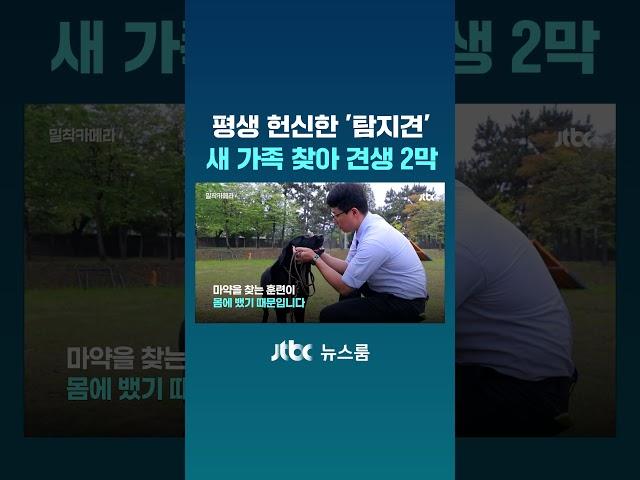 평생 헌신한 '탐지견'...새 가족 찾아 견생 2막 #JTBC #Shorts