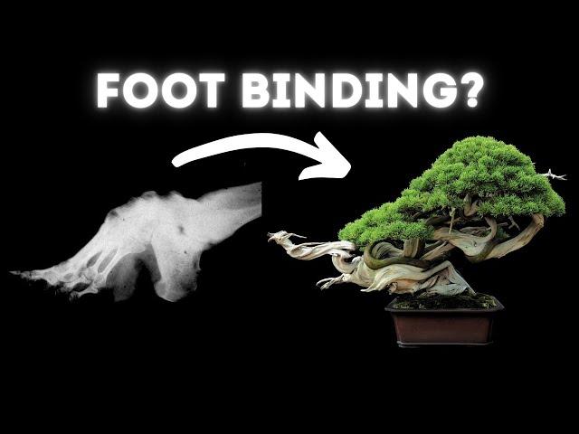 Is Bonsai Torture? - Biology of Pain