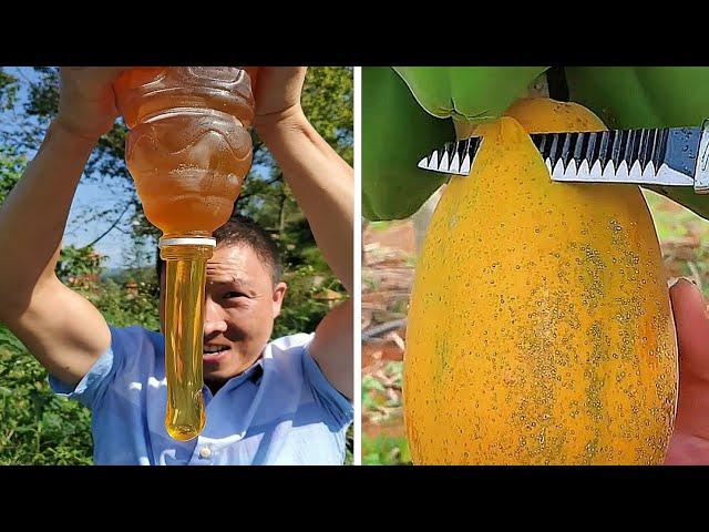 Best Oddly Satisfying Video || Những Video Triệu View, Thỏa Mãn Người Xem Trên Tik Tok p.67