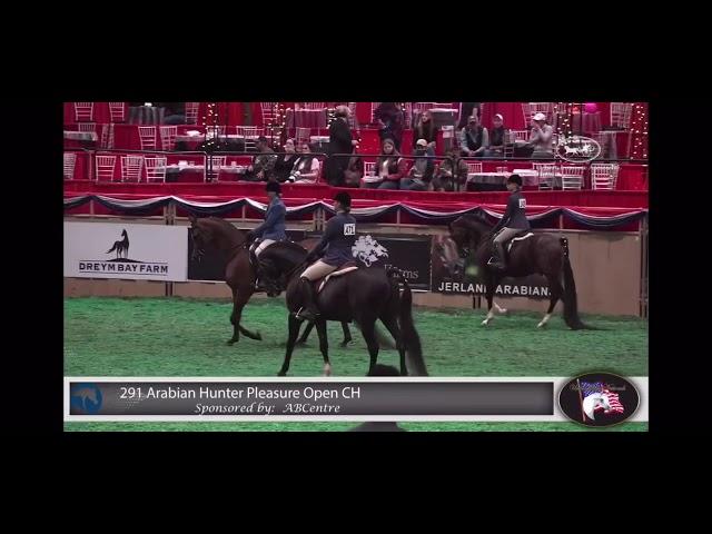 Klint Black+++// 2020 US NATIONAL CHAMPION ARABIAN HUNTER PLEASURE OPEN