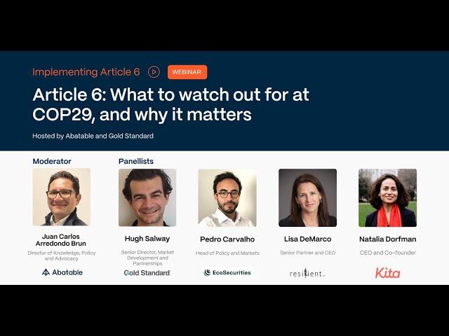 Webinar: Article 6 – What to watch out for at COP29, and why it matters