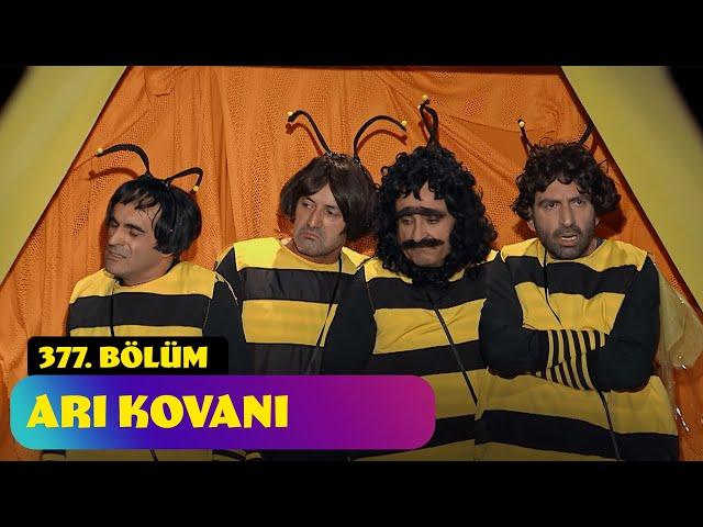 Arı Kovanı - 377. Bölüm (Güldür Güldür Show)