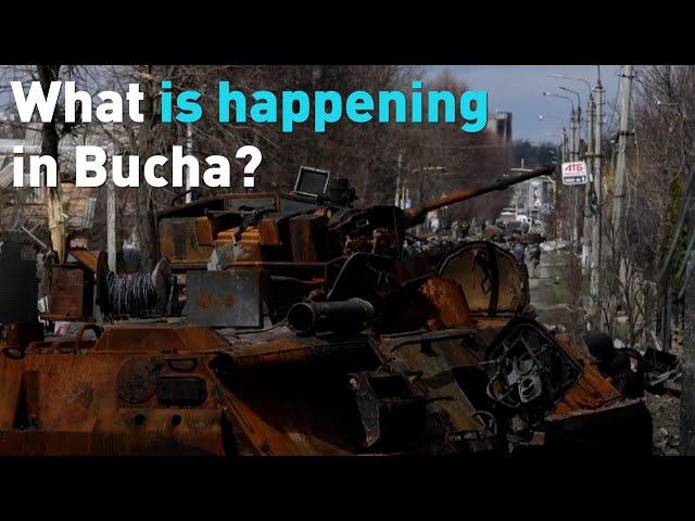 What is happening in Bucha?