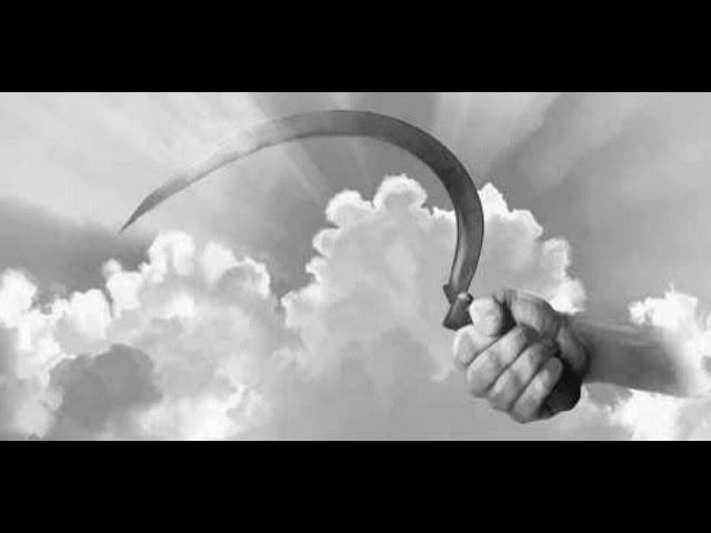 God About To Reap His Harvest