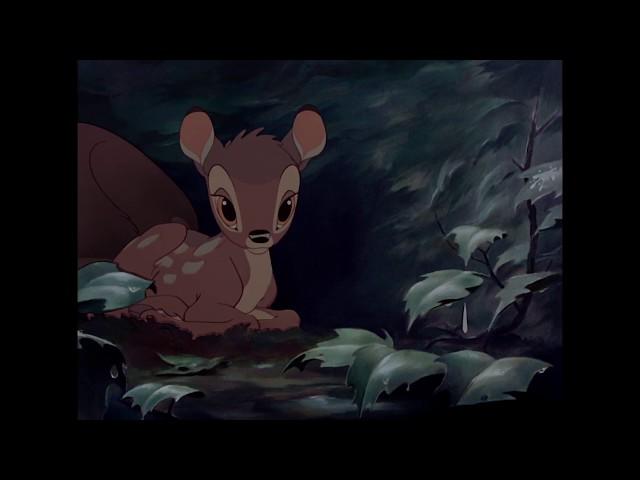 Bambi | Liedje: Drip Drop | Disney NL