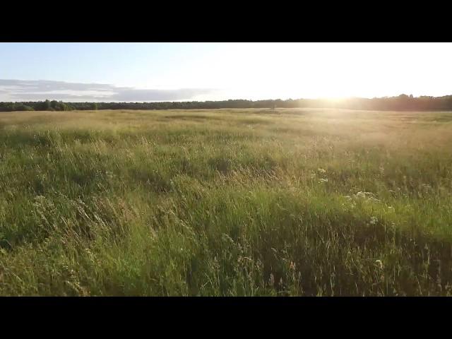 Low Flight Over The Meadow 1 - cutestockfootage.com