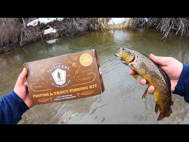 EXPLORING and FISHING a SKETCHY Creek for TROUT!! (Catch & Cook)