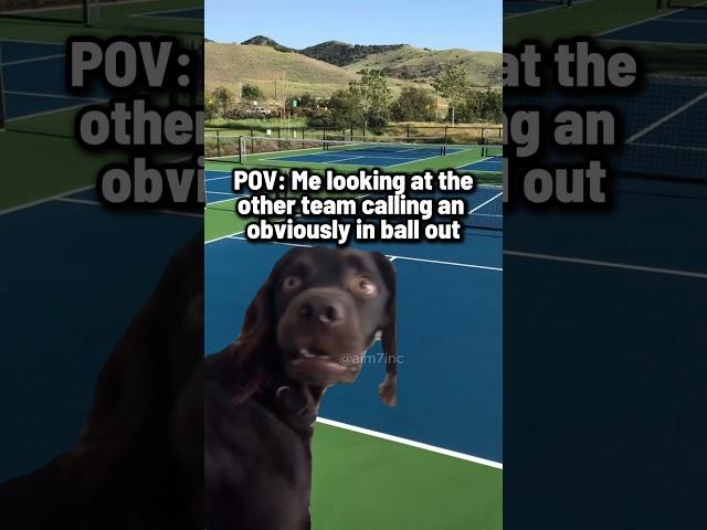 But... but... #pickleball #pickleballlife #pickleballmeme