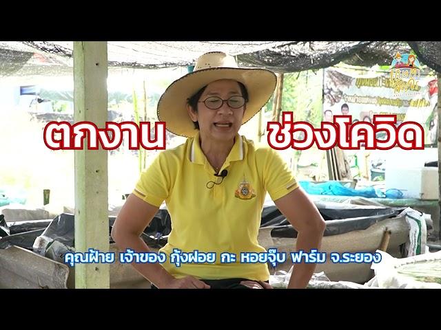 หลักสูตรอบรม เกษตรสัญจร - เลี้ยงกุ้งฝอย สร้างอาชีพ เพิ่มรายได้ รุ่น 1 