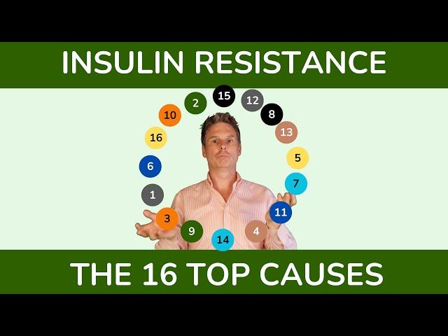 Insulin Resistance: Top Causes & Contributing Factors