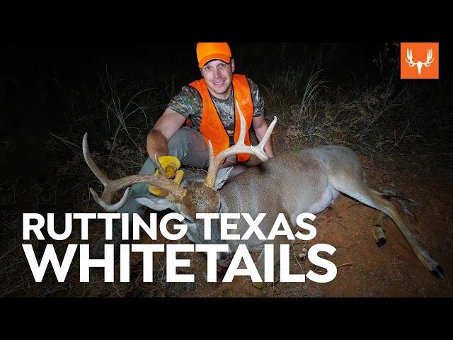 Texas Public Land Rifle Hunting | With The Element