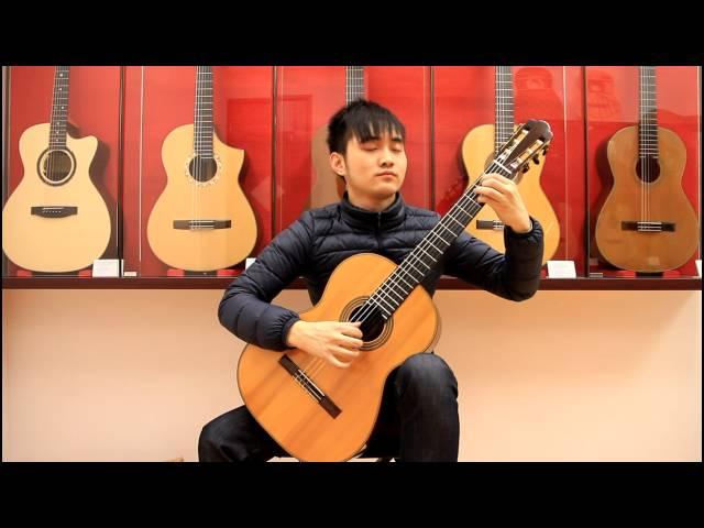 The Beginning - Ryan Arcand "Guitar Cover"(Steven Law)