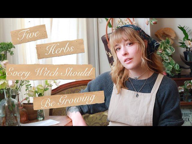 The Five Kitchen Herbs Every Witch Should Be Growing and Why