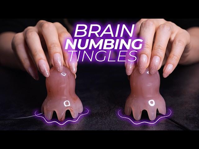 ASMR Giving You Brain Numbing Tingles for Guaranteed Sleep (No Talking)