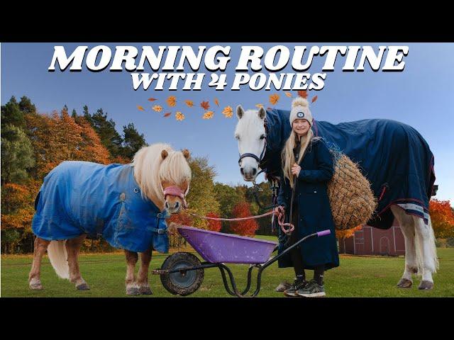 AUTUMN FALL MORNING ROUTINE WITH 4 PONIES!