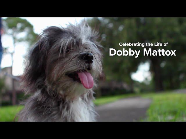 Dobby Mattox | A Celebration of Life