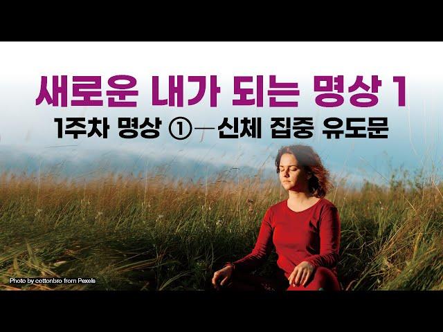 조 디스펜자의 "새로운 내가 되는 명상 1"- 신체 집중 유도문    #브레이킹 #당신이라는습관을깨라 #신체집중유도문