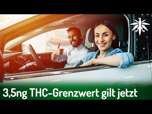 3,5ng THC-Grenzwert gilt jetzt | DHV News # 433