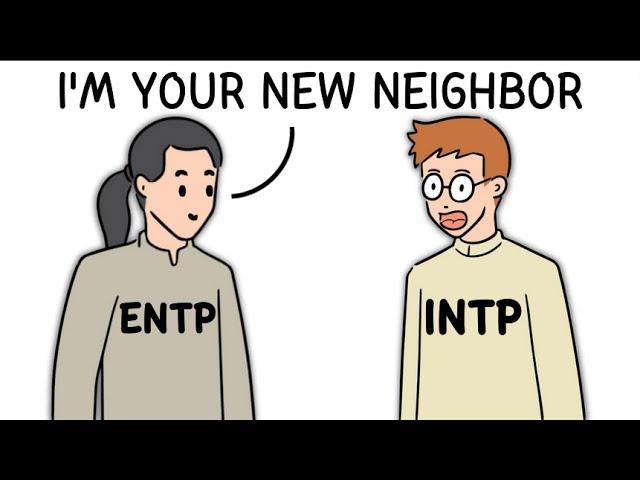 ENTP and INTP don't like each other 