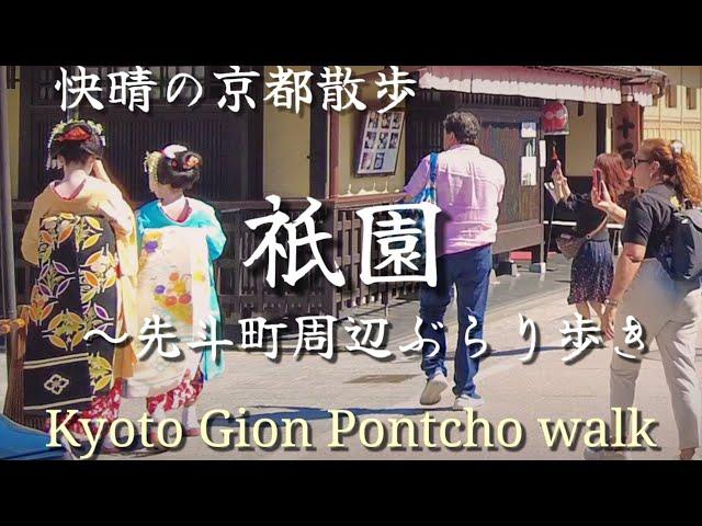 Kyoto Japan walk! /Sunny Gion ～ Pontocho #maiko /May 30 2023