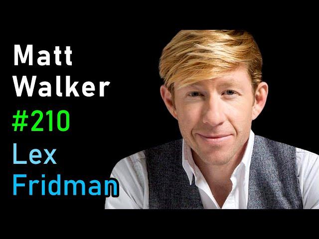 Matt Walker: Sleep | Lex Fridman Podcast #210