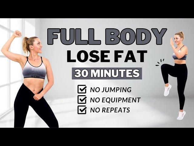 30 Min Full Body Fat Burn HIIT (NO JUMPING)Ab, Core, Arm, Back, Leg, Thigh & CardioALL STANDING