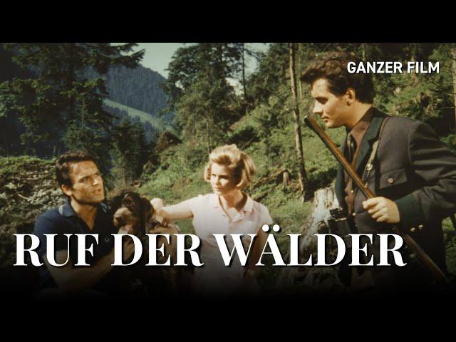 Ruf der Wälder, 1965 | Ganzer Film | HeimatfilmeTV